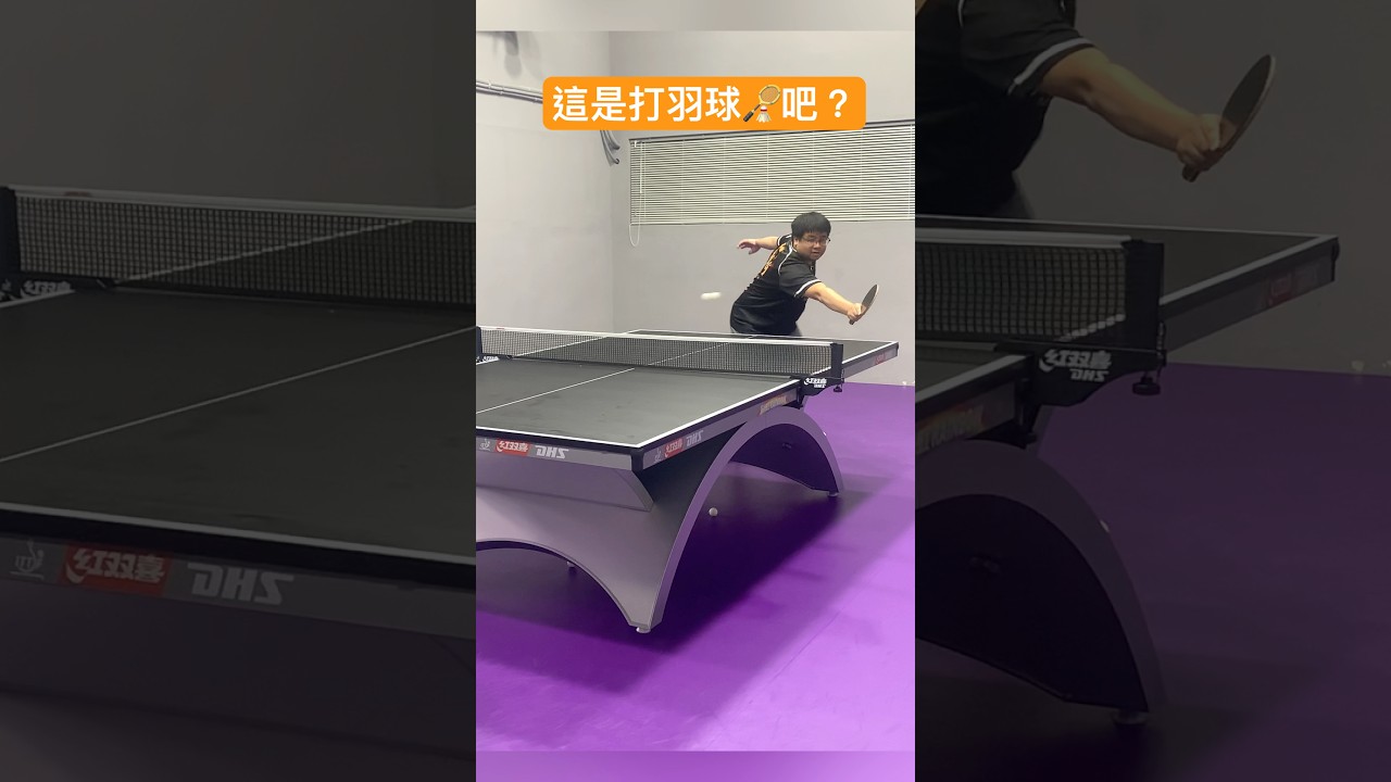 引發了廣泛